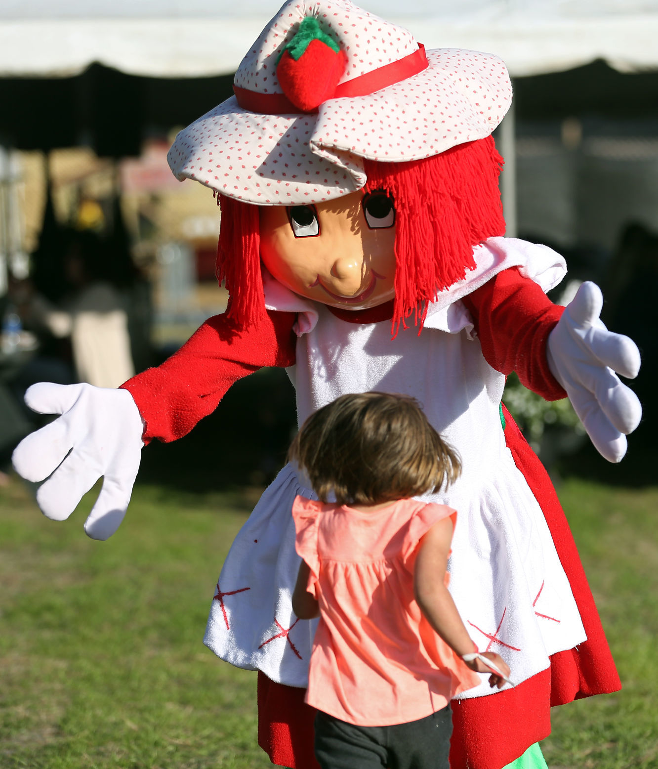 Strawberry Shortcake at Strawberry Festival